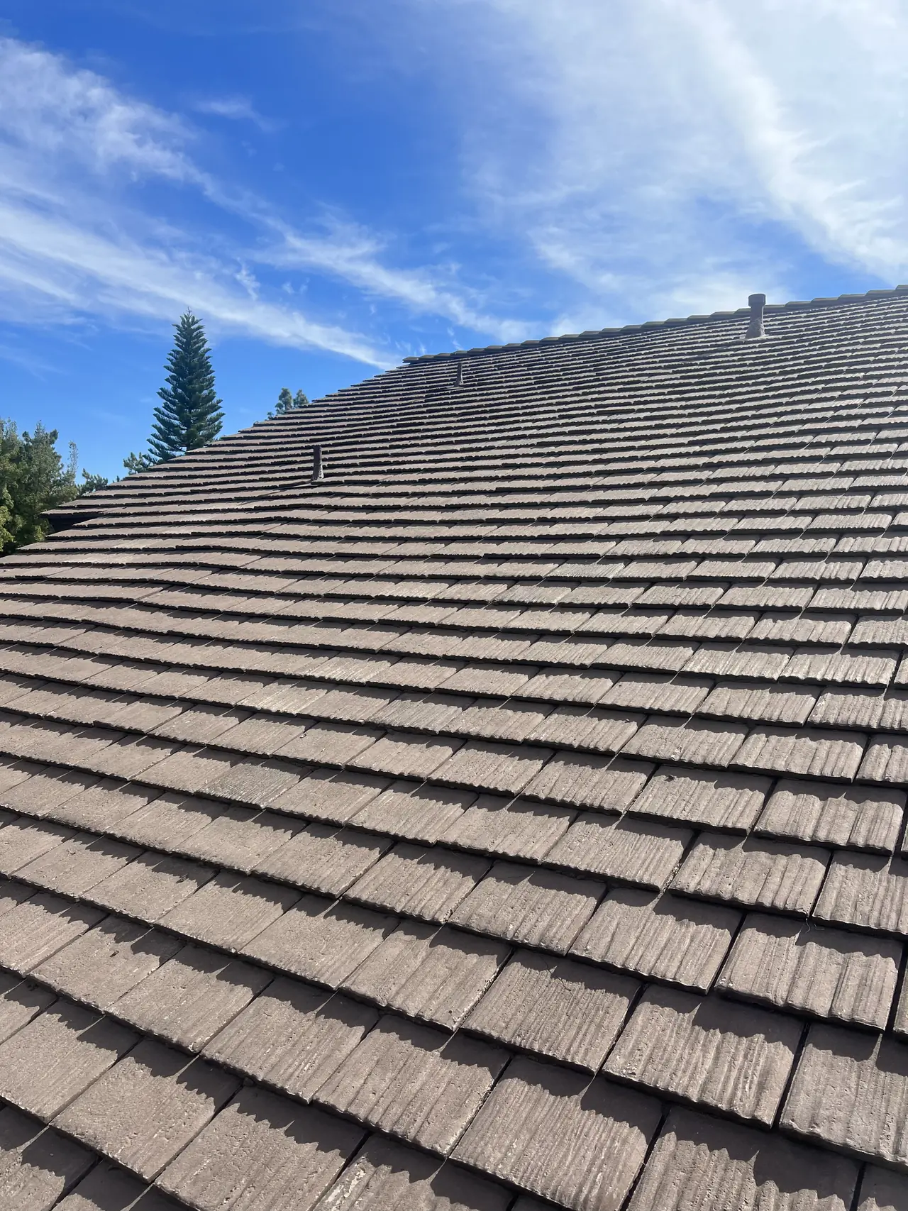 Concrete roof tiles close up, before removal, Glendale