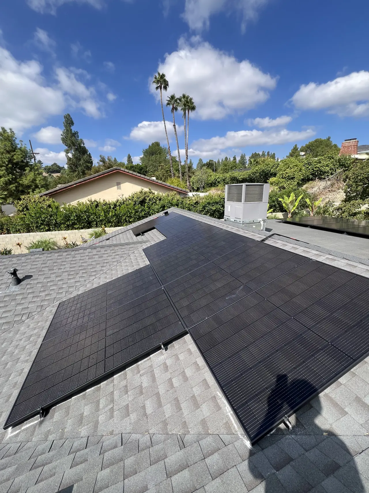 Black solar modules across several planes of a shingle roof with palms and a clear sky beyond, Granada Hills