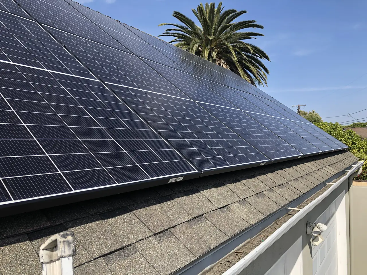 A long run of solar modules across the low roof of an outbuilding with palms behind it, Long Beach