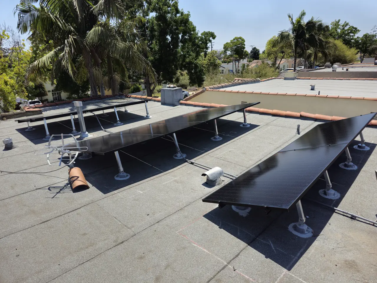 Tilted rows of solar modules spaced across a flat roof with palms beyond, Long Beach