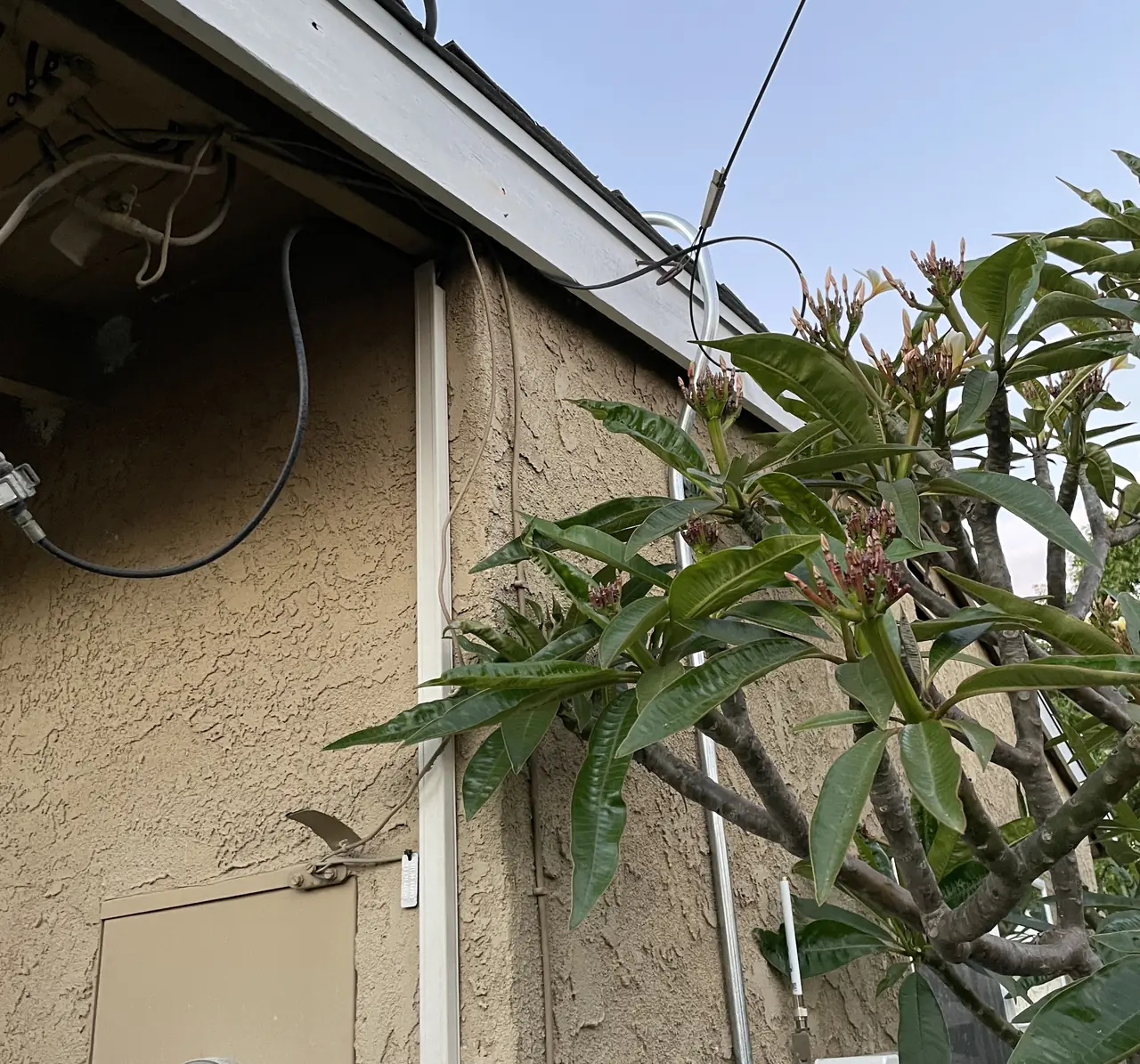 A stucco elevation with solar service equipment and bare conduit below the roof edge on the evening of the install, Long Beach