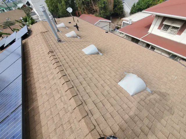 The edge of an existing solar array beside an empty stretch of composition shingle roof, West Adams, Los Angeles