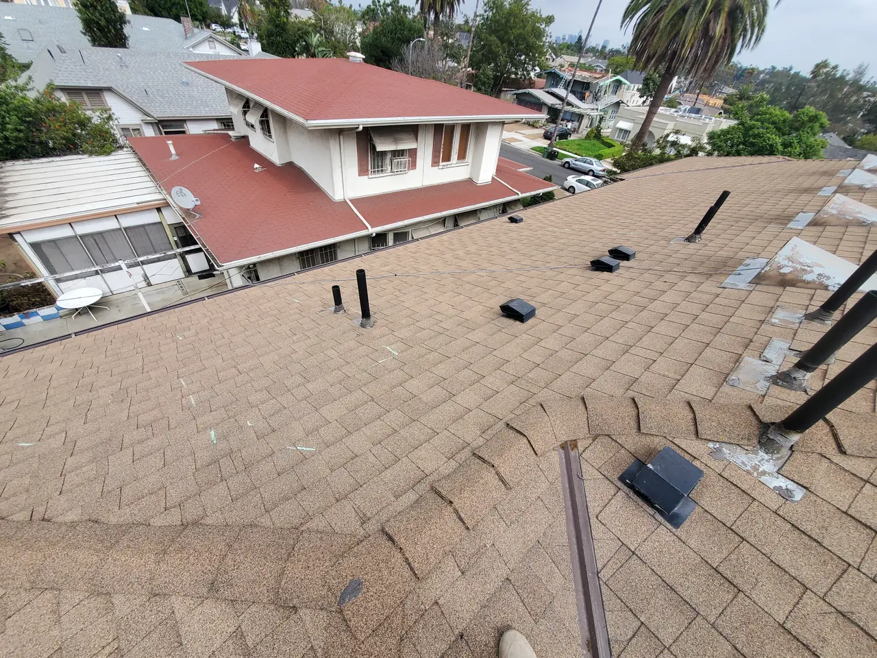 A hipped composition shingle roof with vent stacks, seen across to neighboring houses, West Adams, Los Angeles