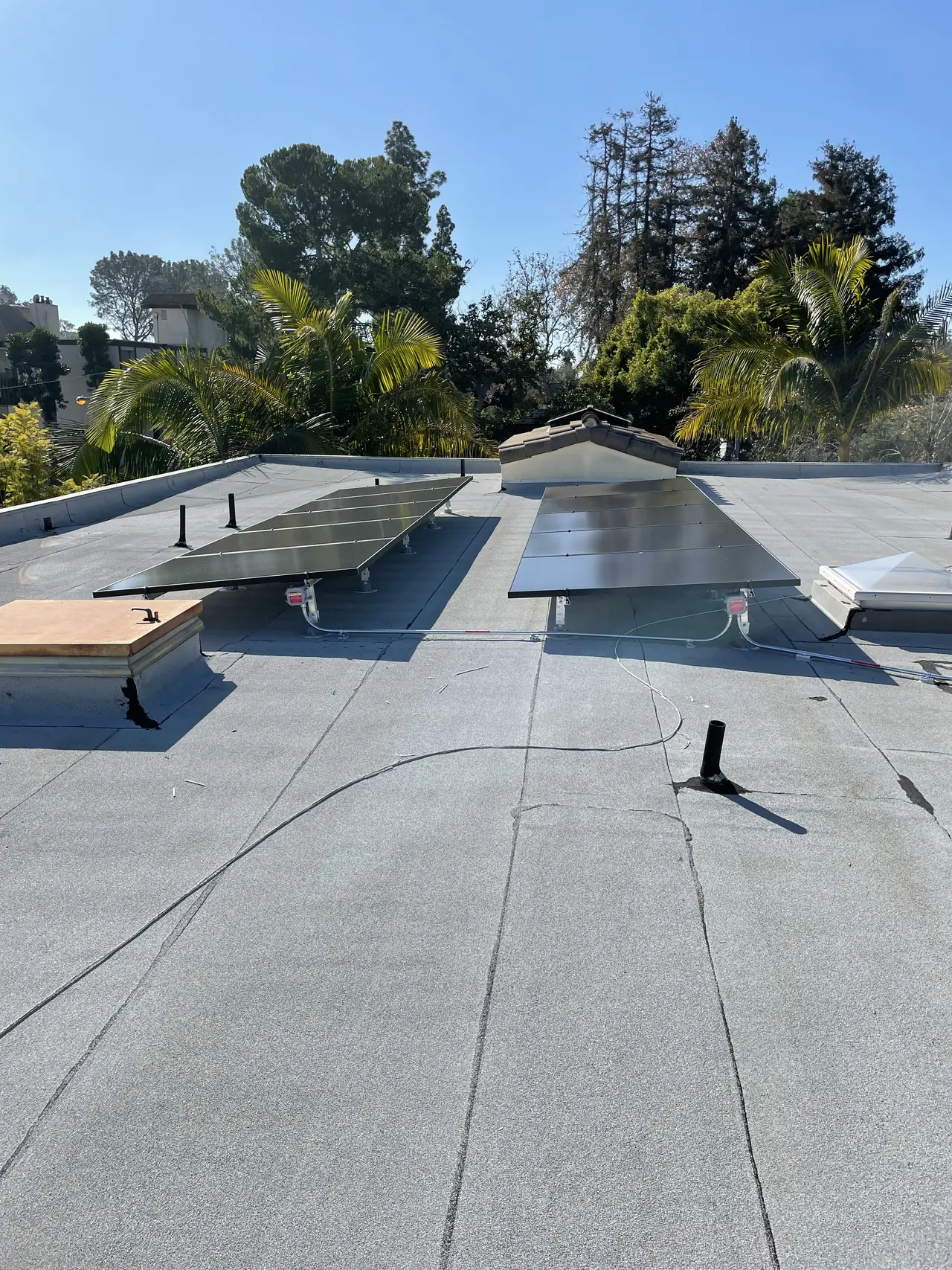 Rows of tilted solar modules on a flat roof with trees behind, Brentwood, Los Angeles