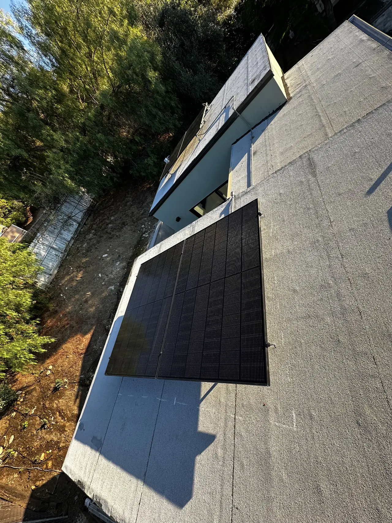 Four solar modules on a flat roof, with the yard and the neighbors below, Echo Park, Los Angeles