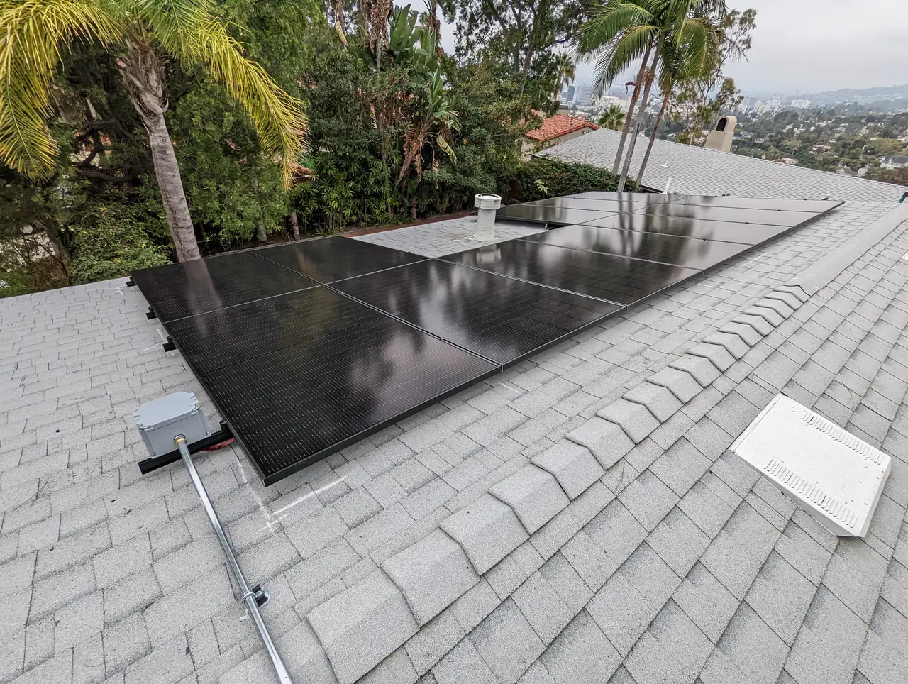 The array on a hillside roof with palms beyond, Hollywood Hills, Los Angeles
