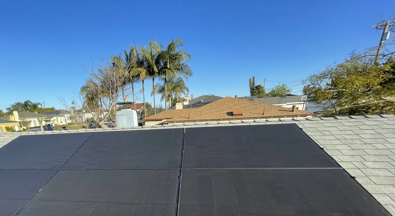The array with the palms and the neighboring roofs beyond, Westchester, Los Angeles