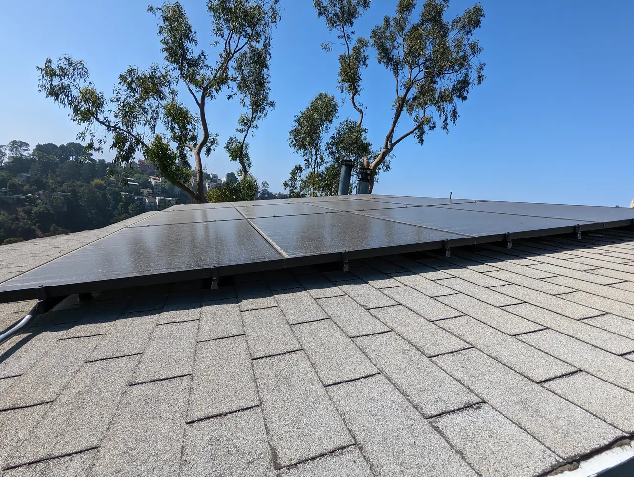 Solar modules on a composition shingle roof with trees and open sky beyond, Hollywood Hills, Los Angeles