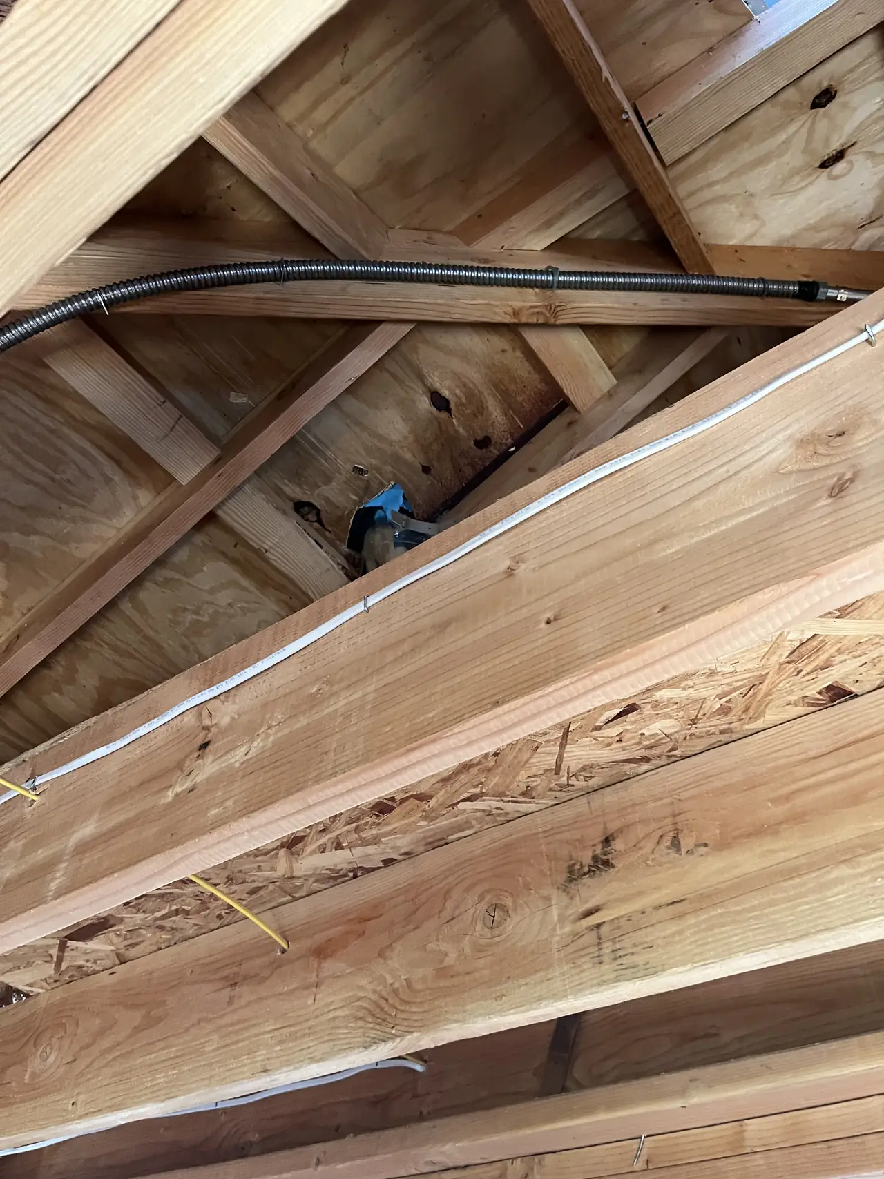 Flexible metal conduit run through the open ceiling joists of a building under construction, North Hills, Los Angeles