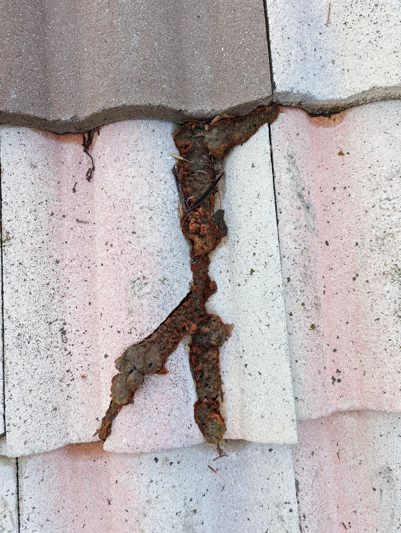 Cracked concrete roof tile photographed before solar installation, Northridge