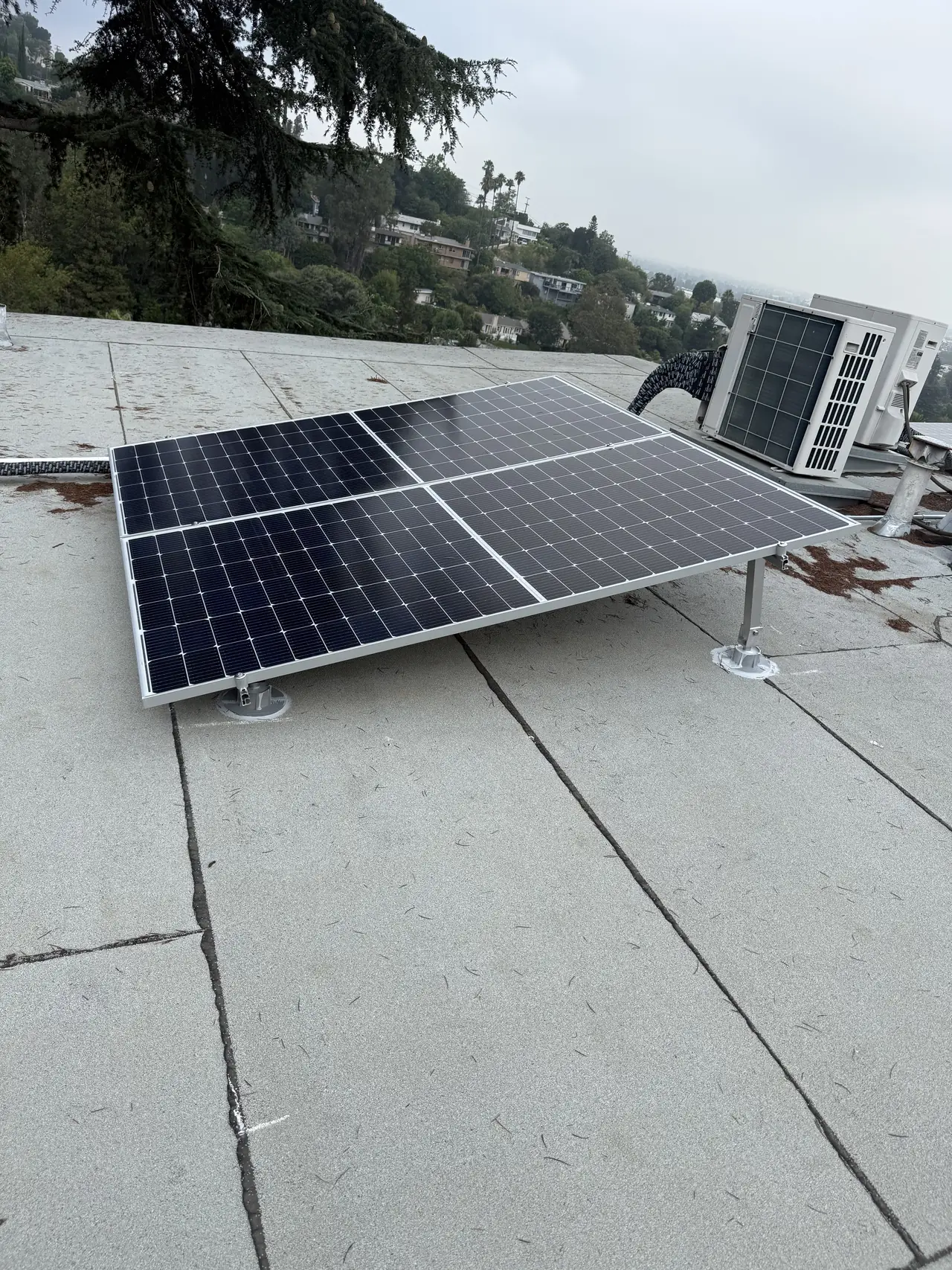 Tilted solar modules on a low-slope roof with trees beyond, Sherman Oaks