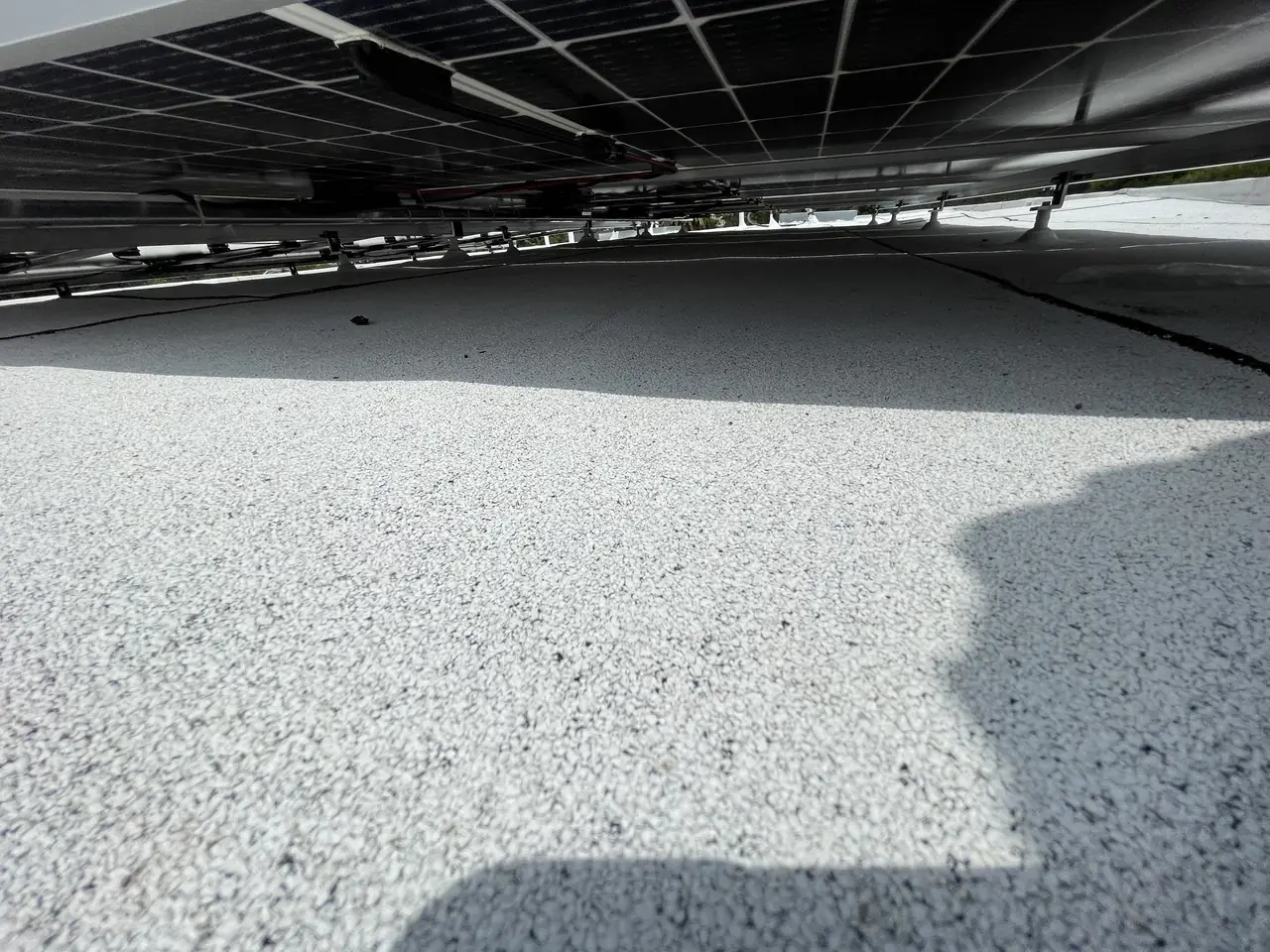 Close view of solar cells on a module above a low-slope roof, Sherman Oaks